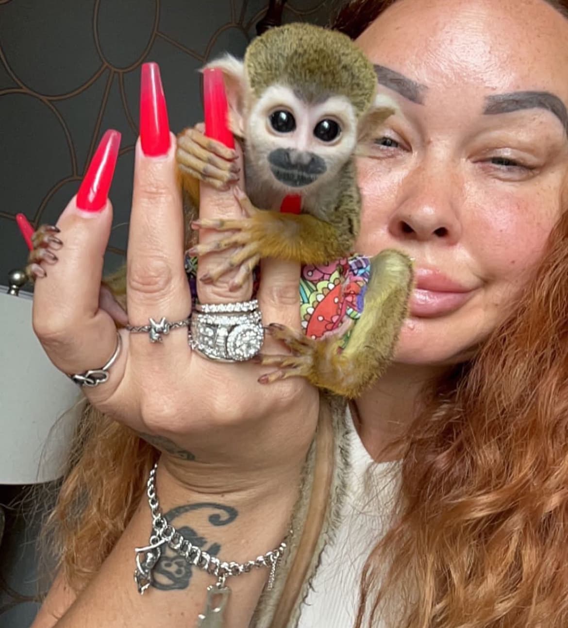 Sunny, a Squirrel Monkey